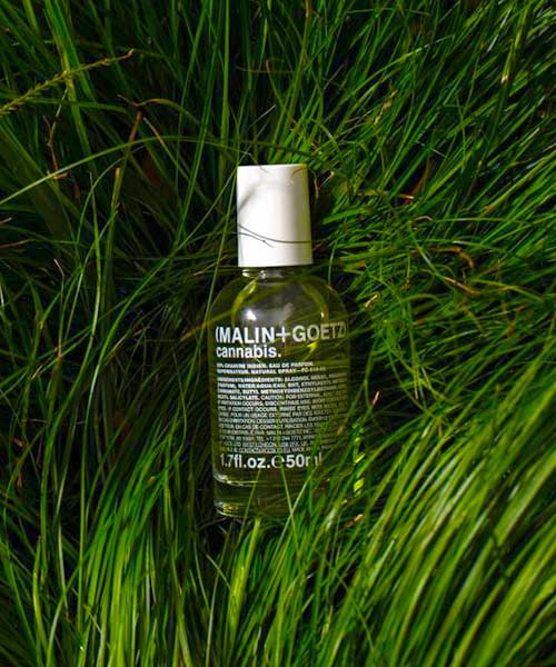Cannabis Eau De Parfum - perf-can